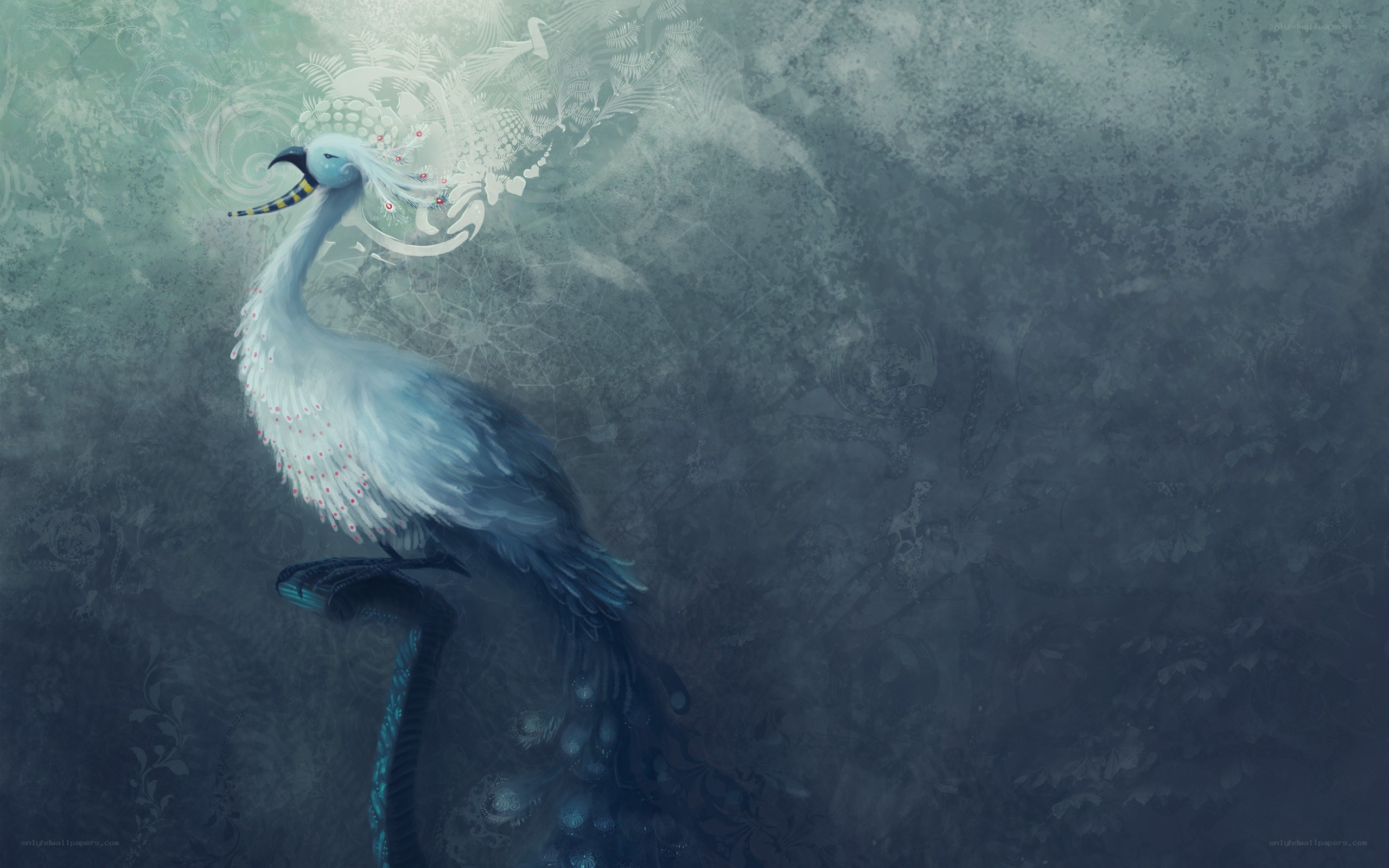 white bird with ornate feathers