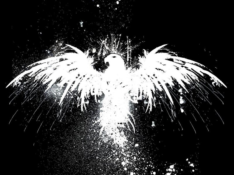 white bird with spread wings