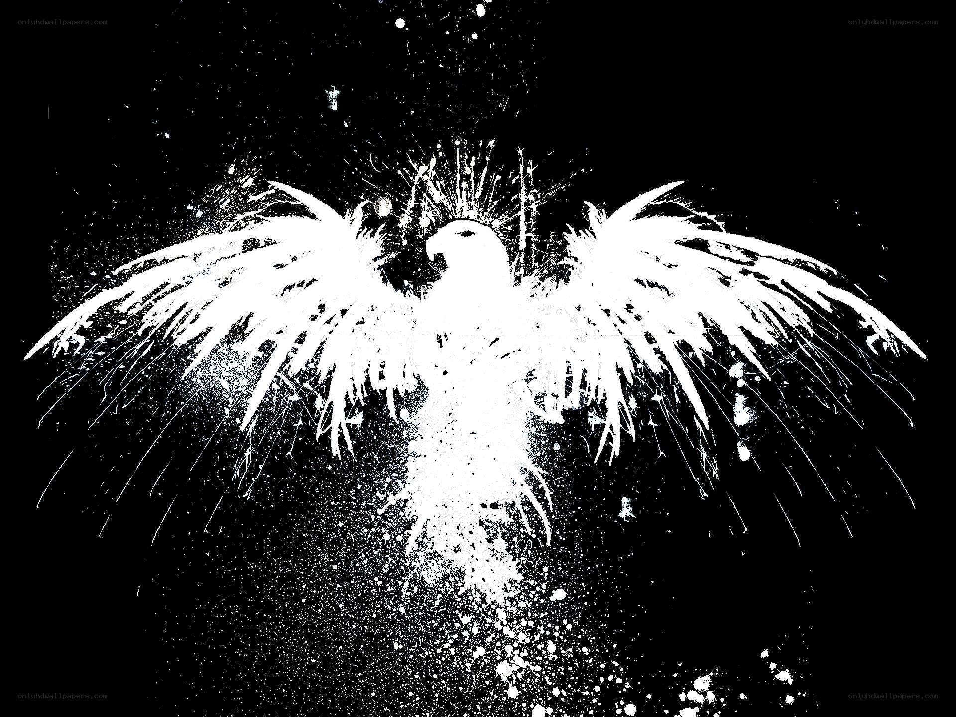 white bird with spread wings