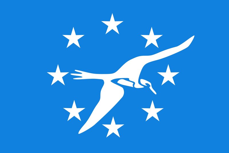 White Bird with Stars