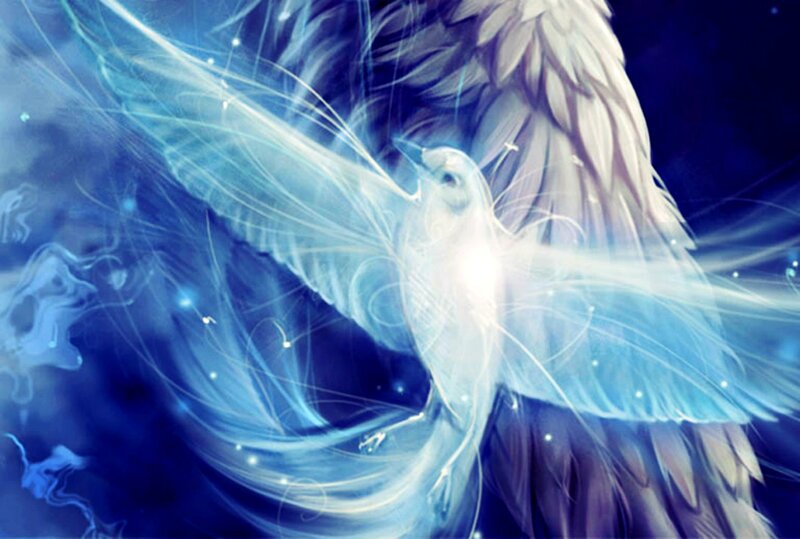 White Bird with Wings — Blue
