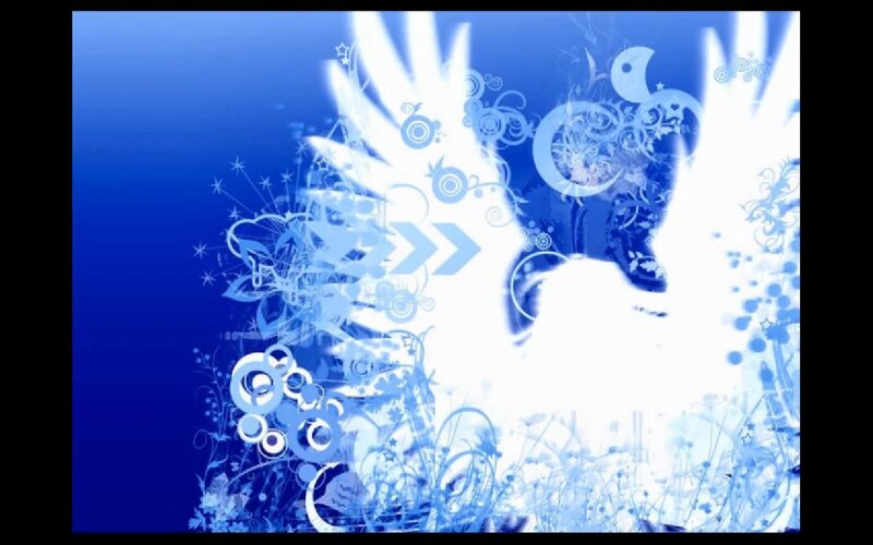 White Bird with Wings