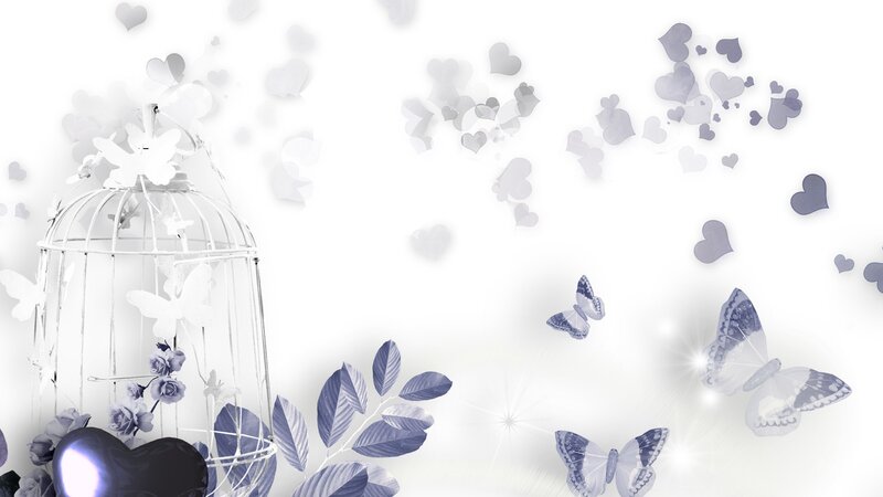 White Birdcage with Butterflies