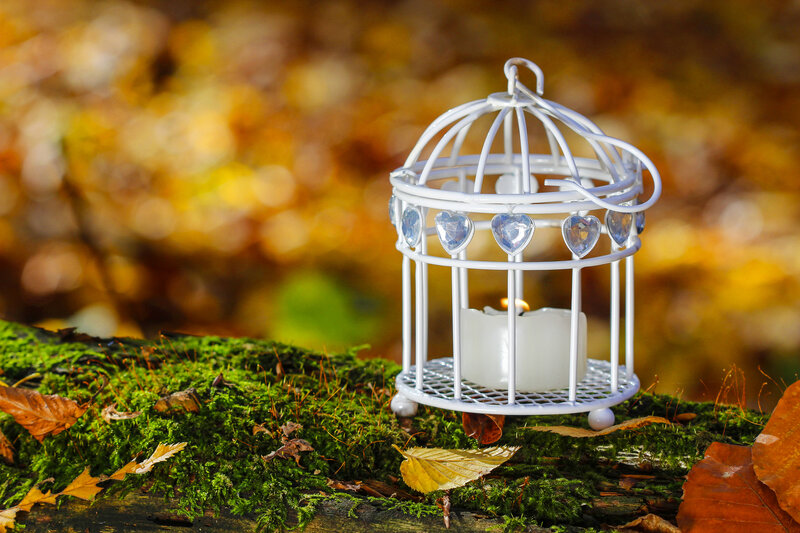 White Birdcage with Candle