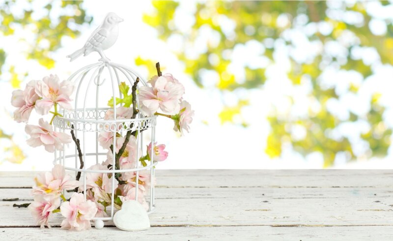 White Birdcage with Flowers — Serene, Spring