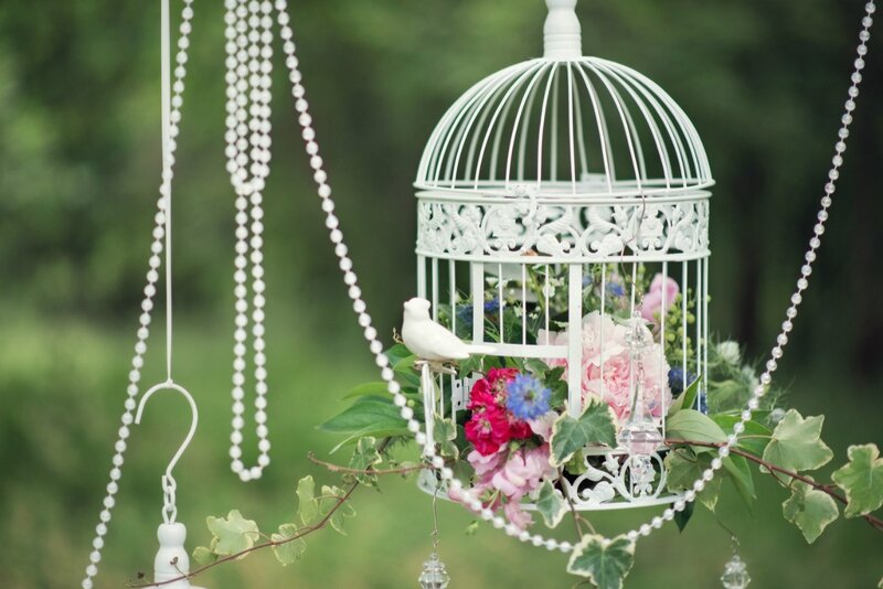 White Birdcage with Flowers — Serene