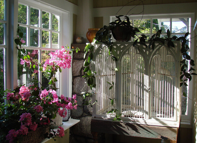 White Birdcage with Plants