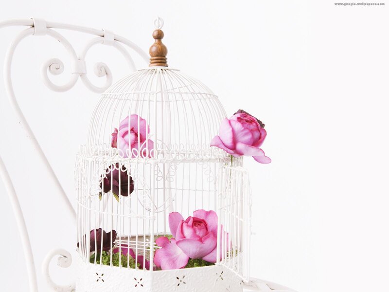 White Birdcage with Roses