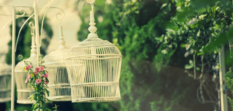 White Birdcages Hanging