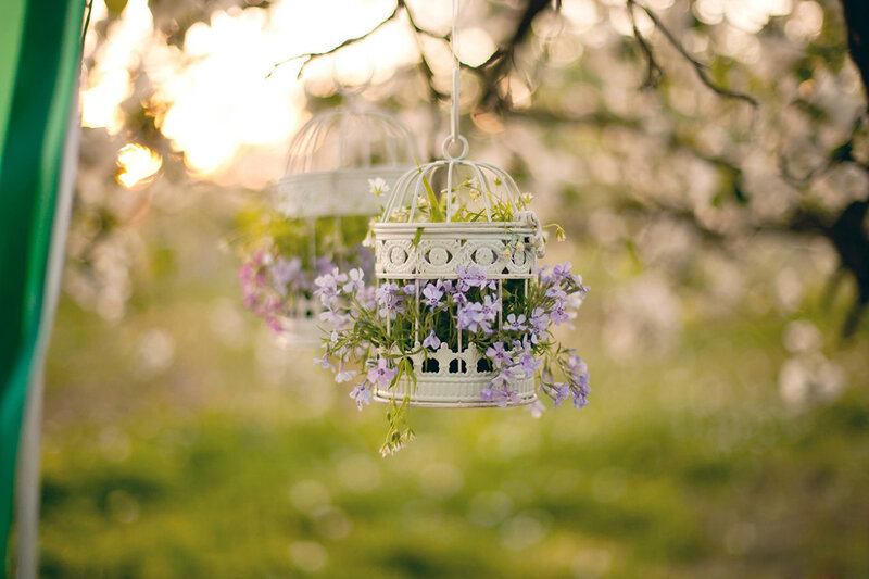 White Birdcages with Flowers