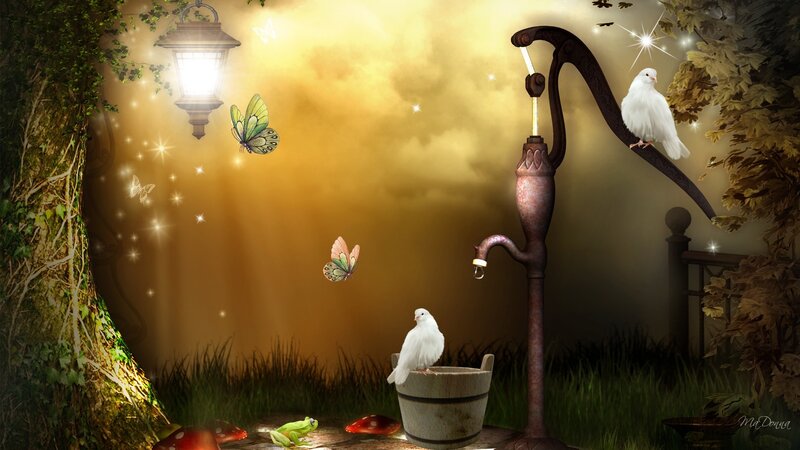 White Birds at Water Pump