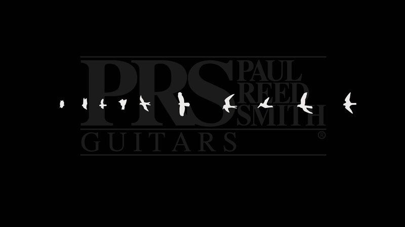White Birds Flying — Black