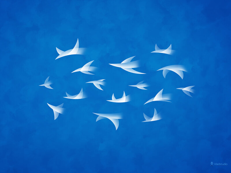 White birds flying in blue sky