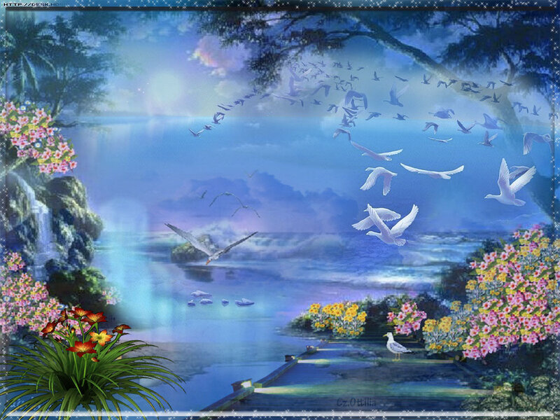 White Birds Flying over Water