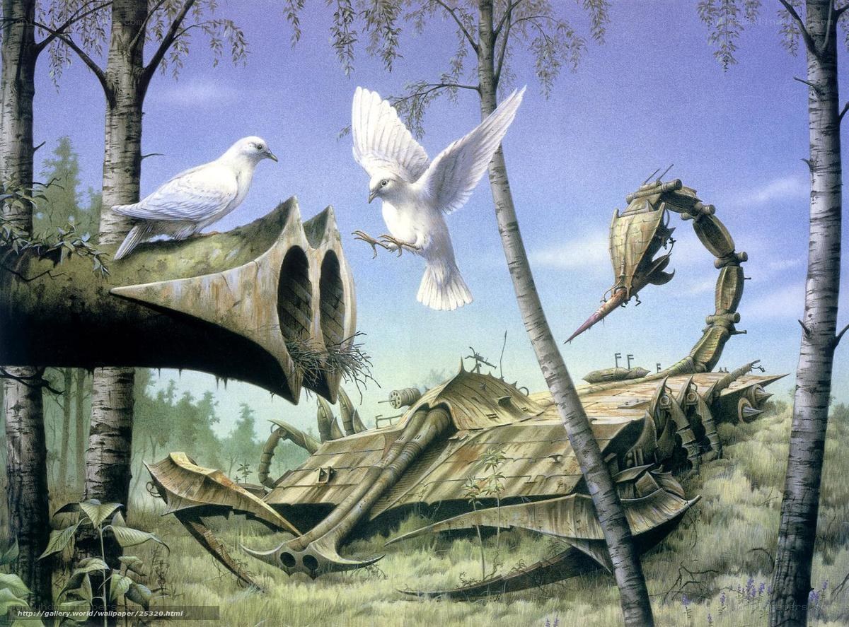 White birds in a forest
