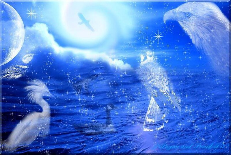 White Birds in Blue Water