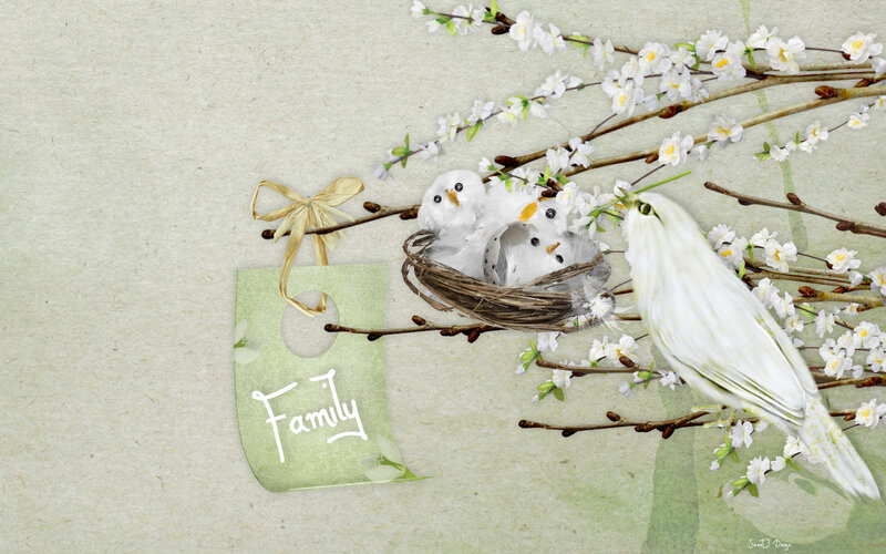 White Birds in Nest