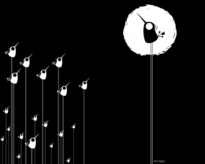 White Birds on Black Background — Serene, Night