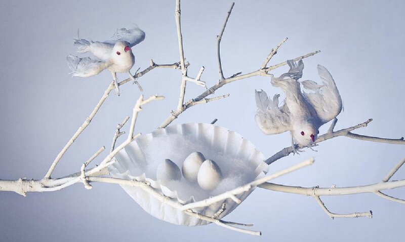 White Birds on Branch