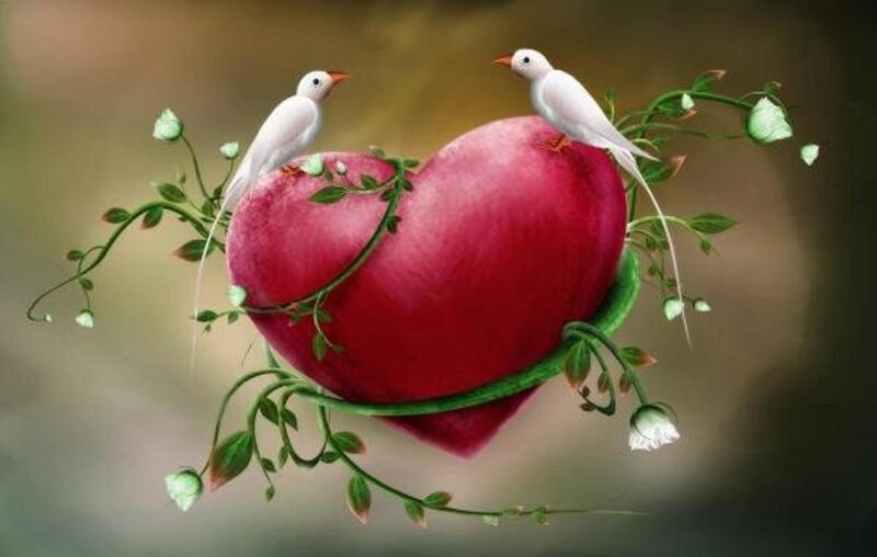 White Birds on Red Heart