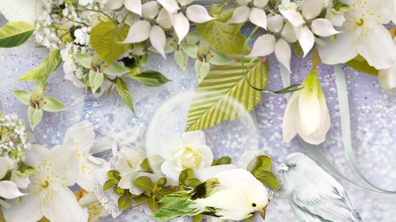 White Birds with Flowers