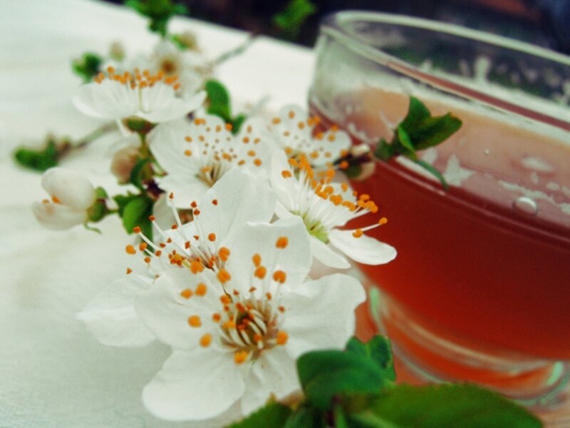 White Blossoms and Tea