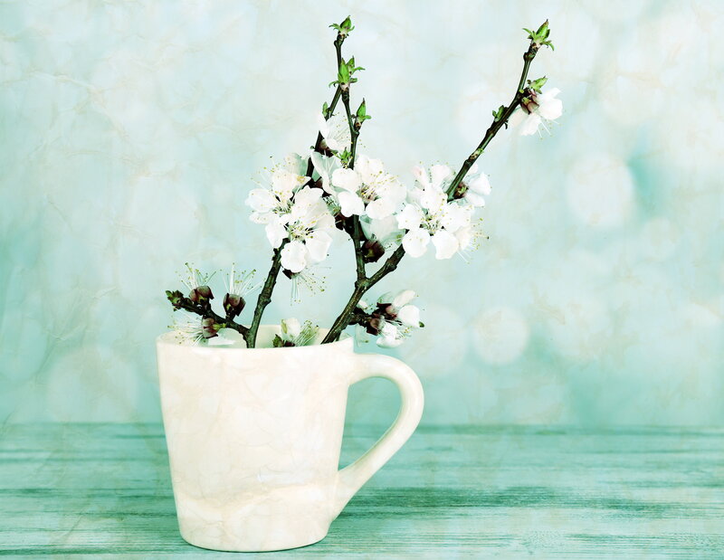 White Blossoms in Mug