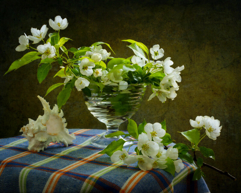 White Blossoms in Vase — Blue