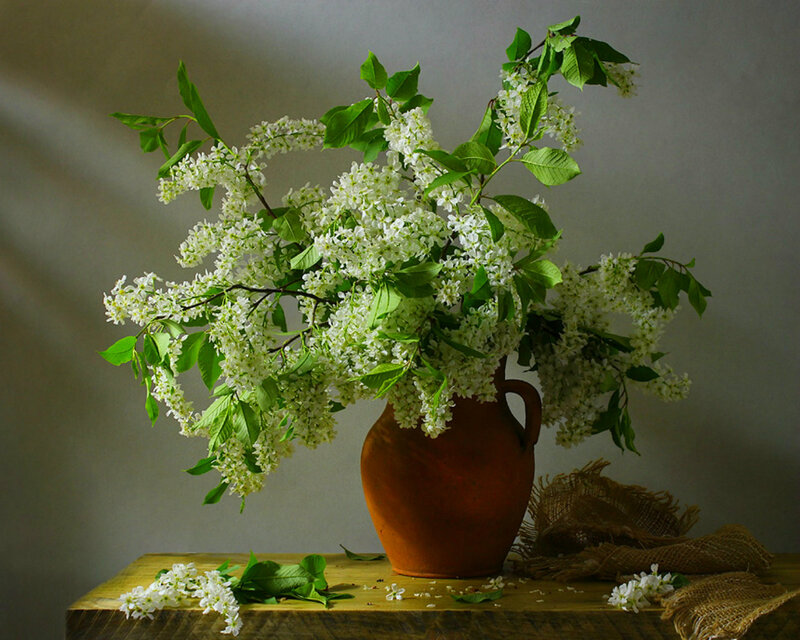 White Blossoms in Vase — Brown