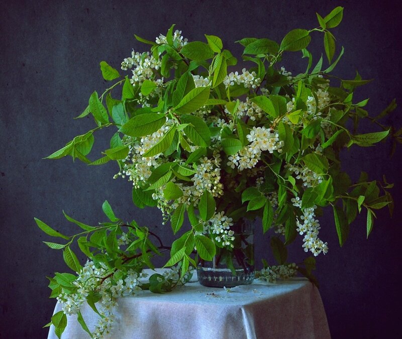 White Blossoms in Vase — Green, Serene