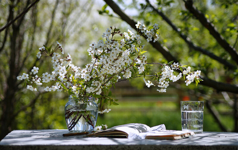 White Blossoms in Vase — Green