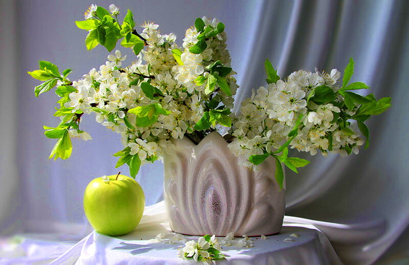 White Blossoms in Vase — Serene