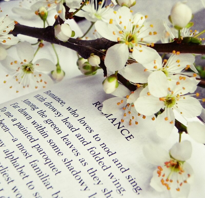 White Blossoms on Book