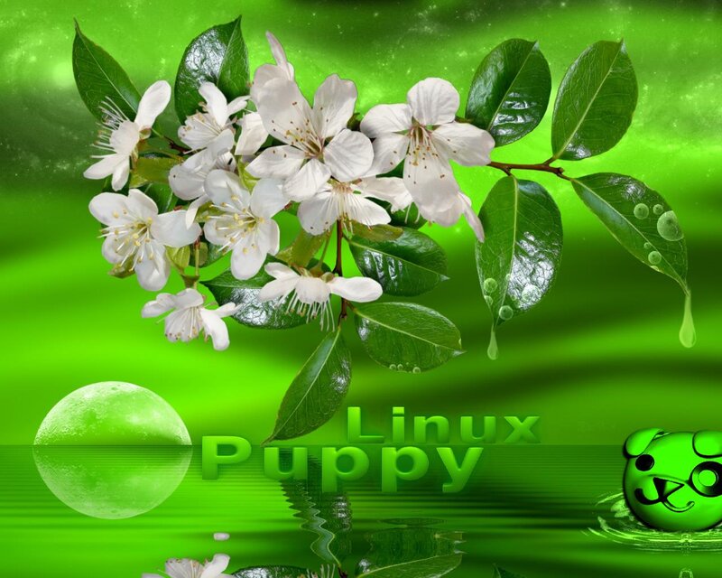 White Blossoms on Branch — Green, Serene, Night