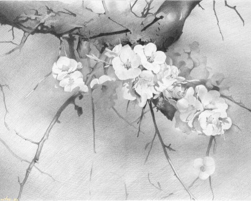 White Blossoms on Branches — Black