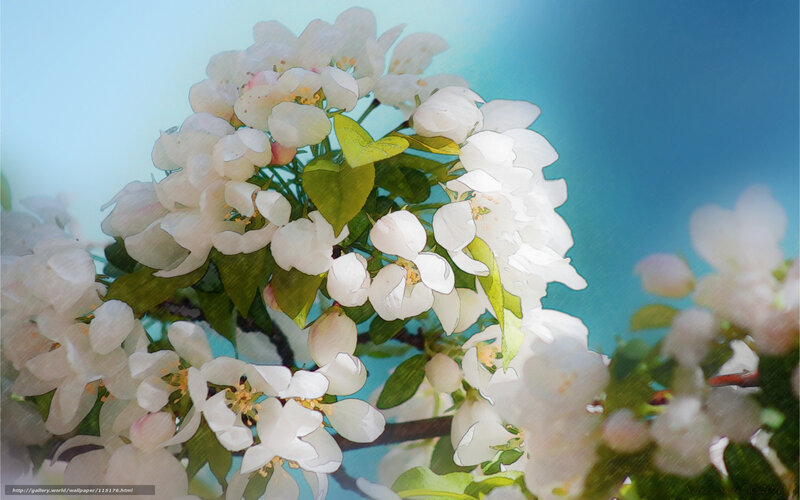 White Blossoms on Tree Branch — Serene, Spring, Digital Art, Flowers