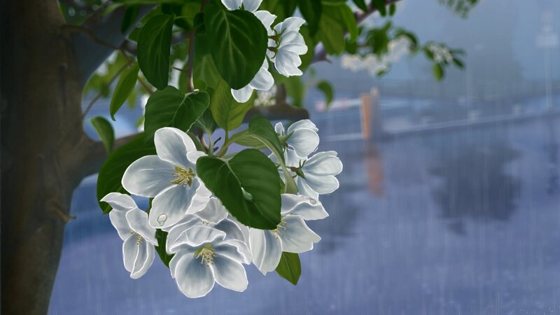 White Blossoms on Tree — Serene, Spring, Digital Art, Rain