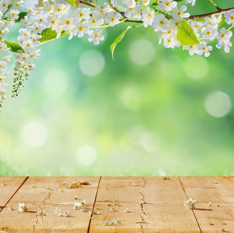 White Blossoms on Wooden Table