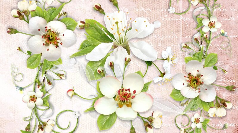 White Blossoms with Green Leaves — Serene