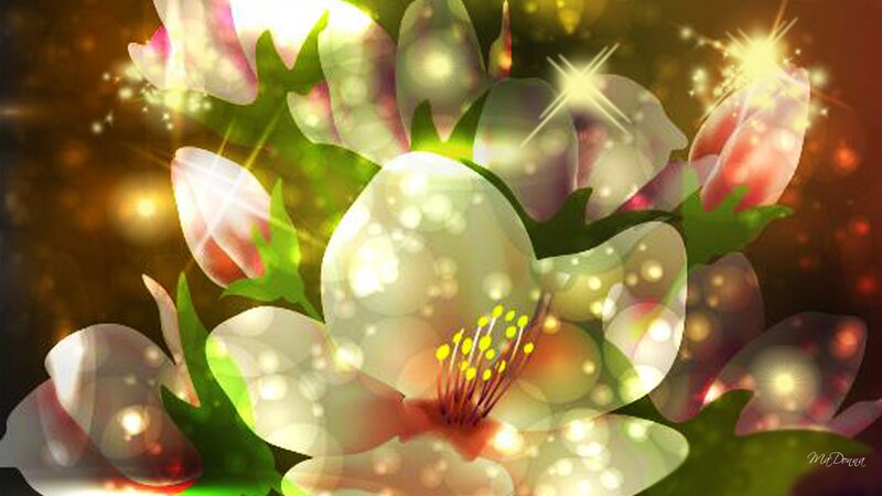White Blossoms with Sparkles