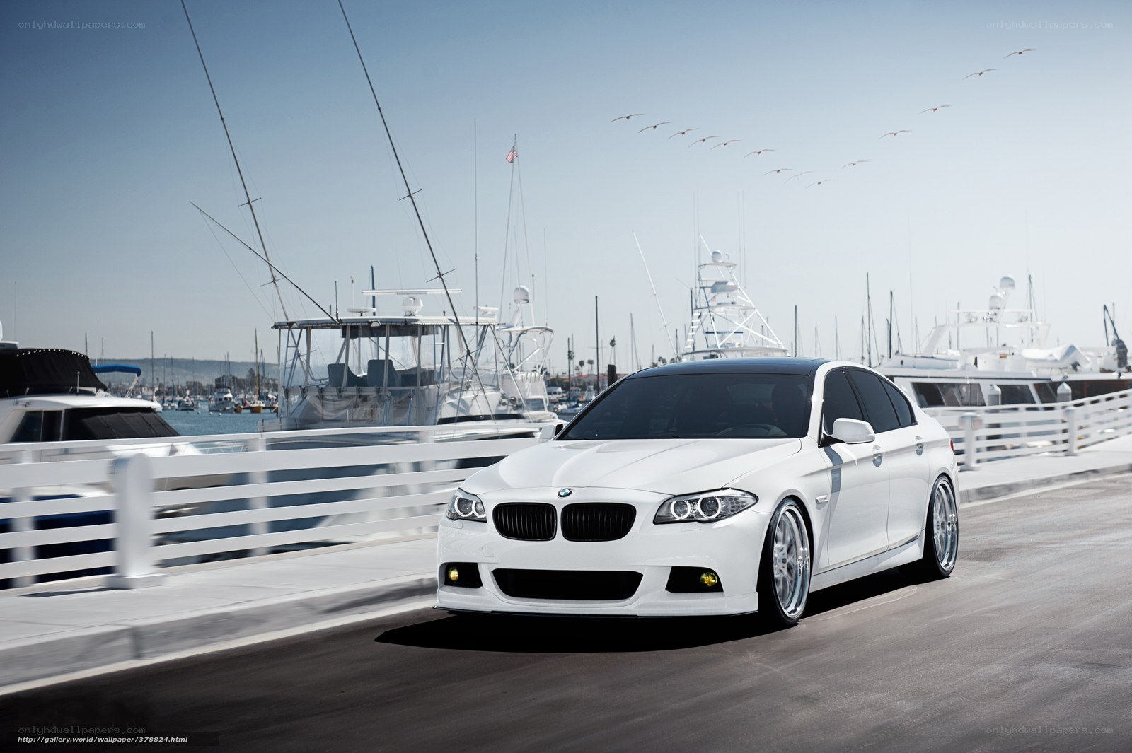 White BMW at a marina