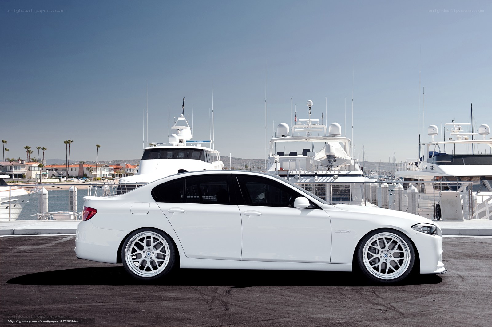 White BMW at marina