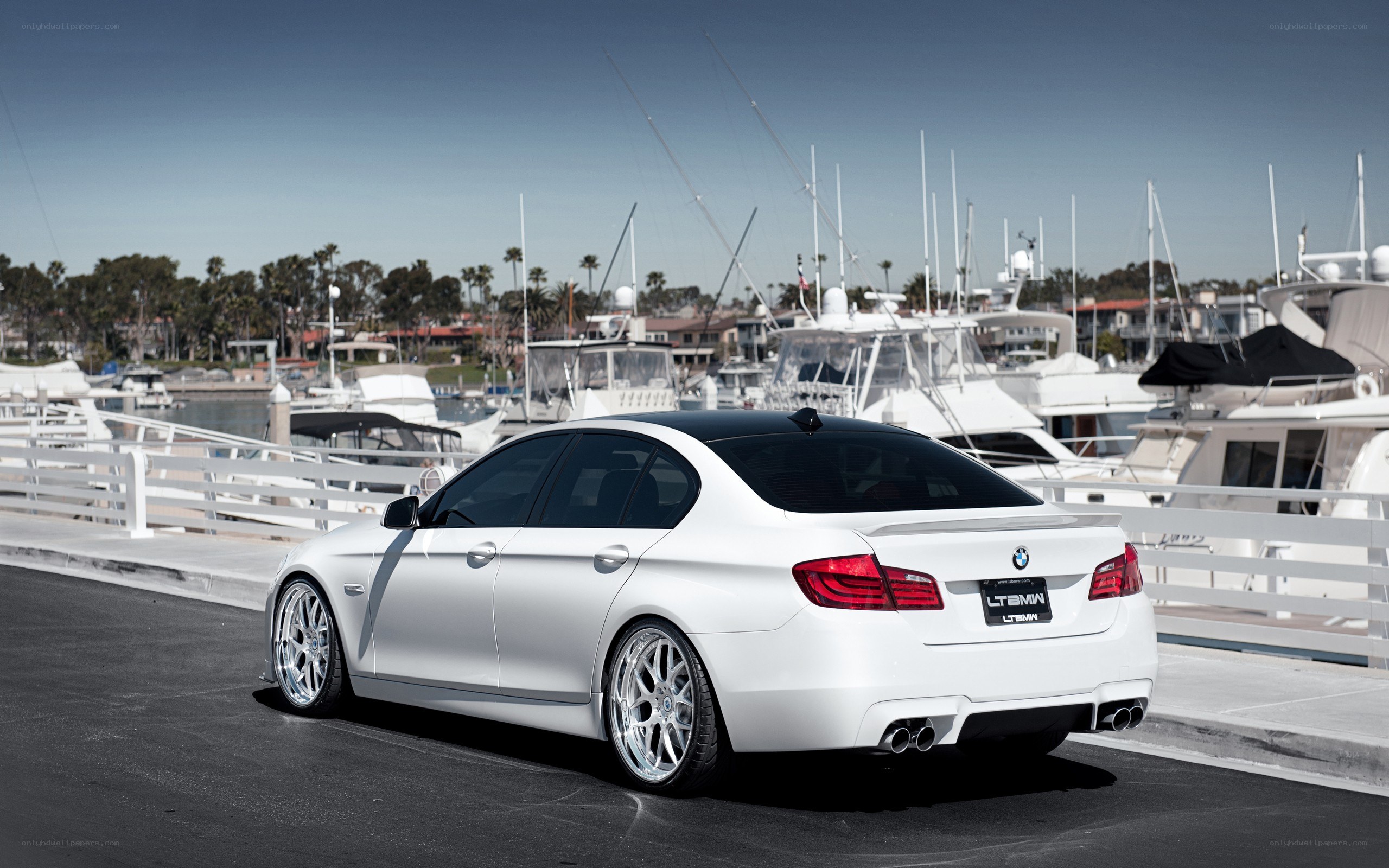 White BMW at marina