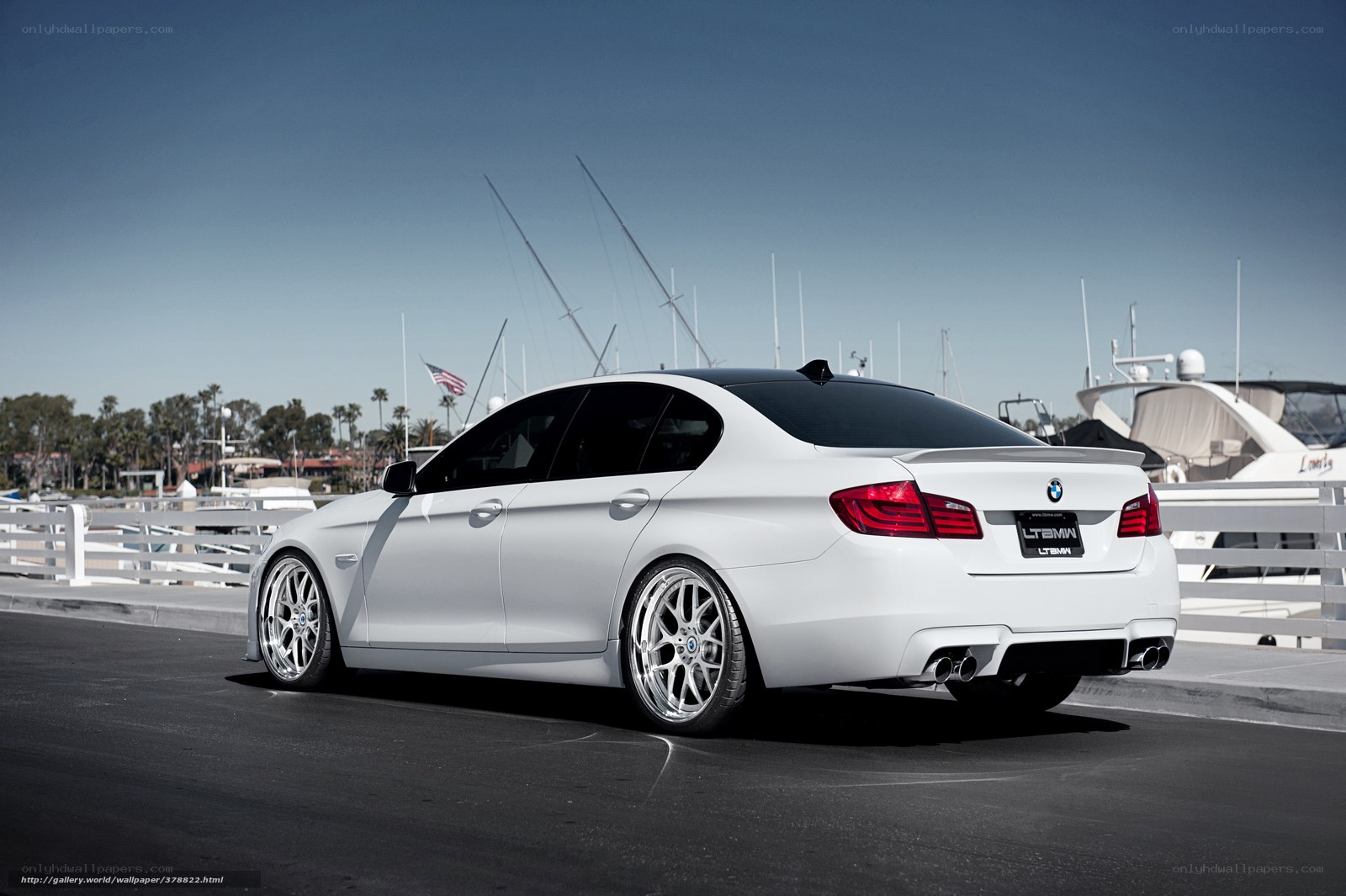 white bmw at marina