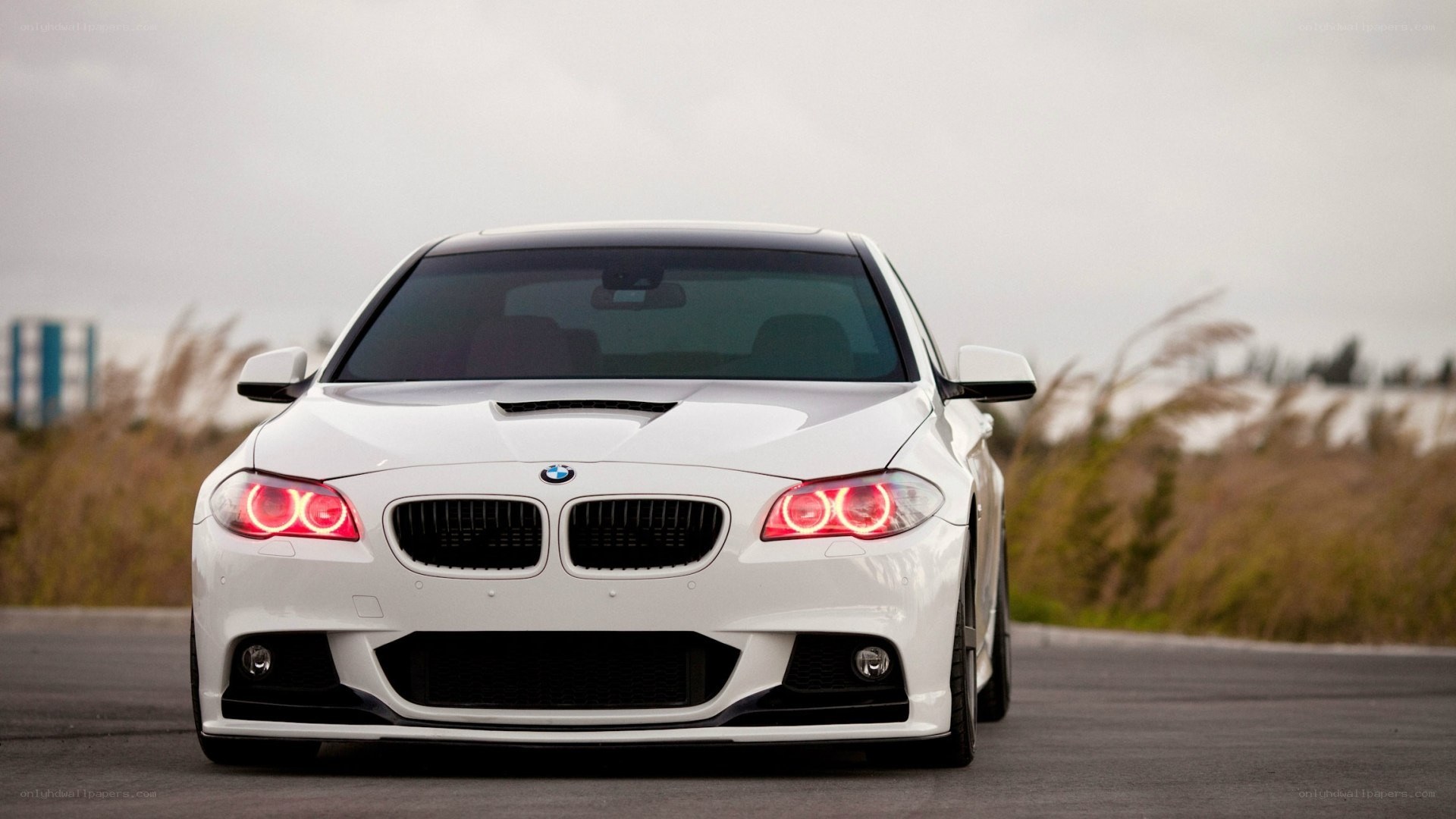 white bmw car on road