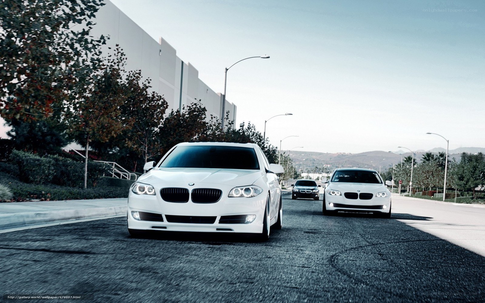 White BMW cars on a road