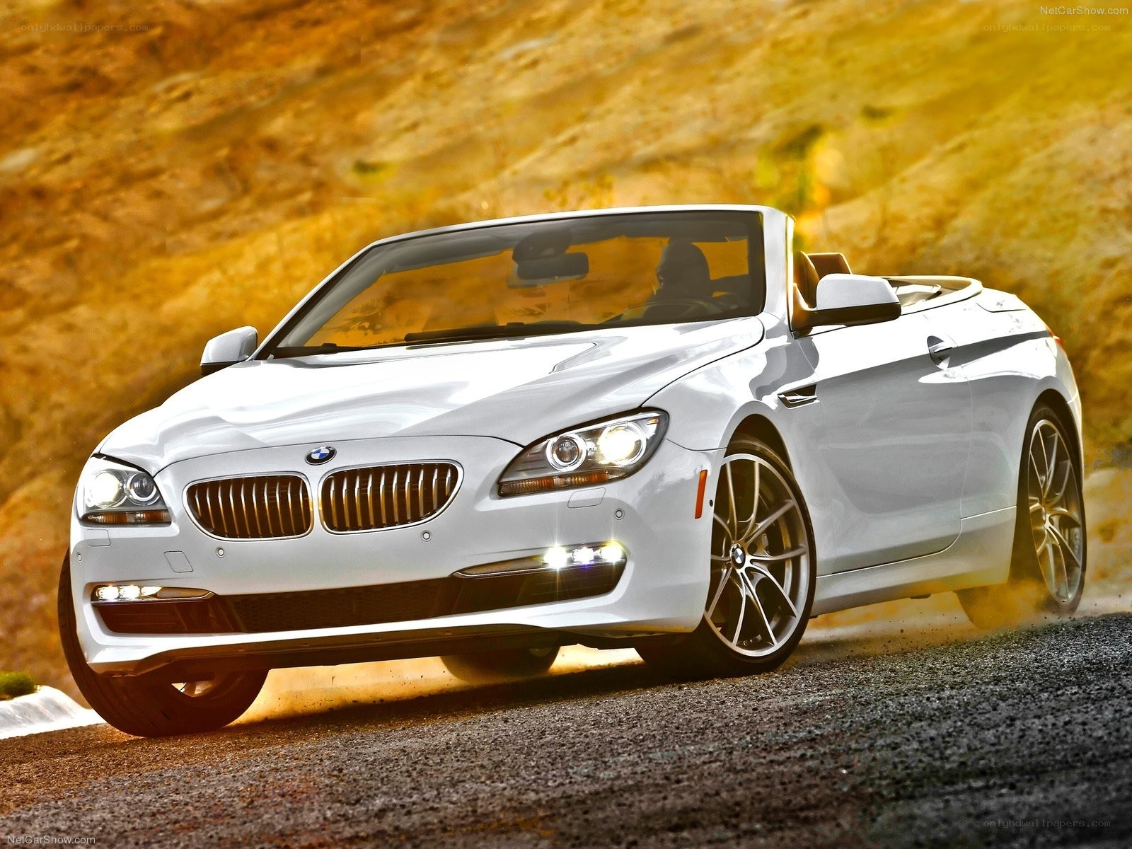White BMW convertible on road
