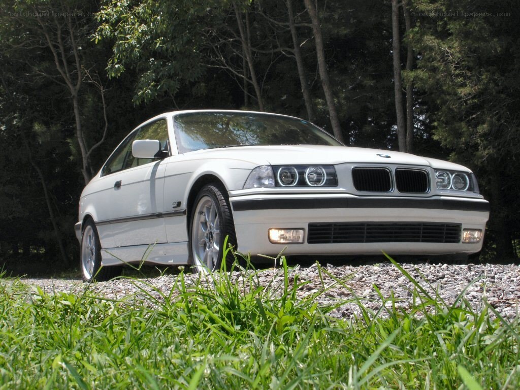 white bmw coupe in forest