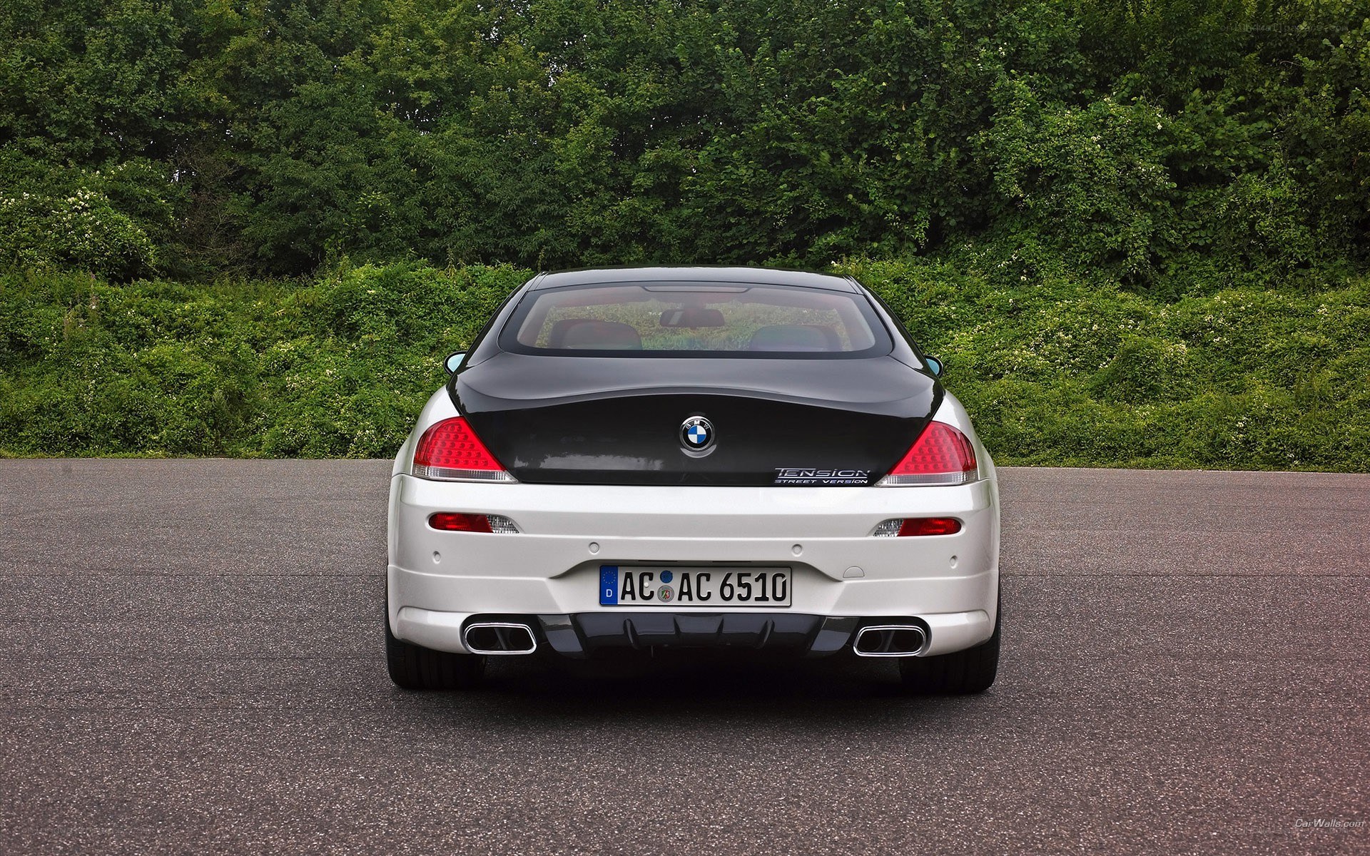 white bmw coupe rear view