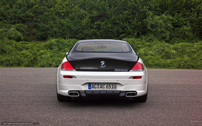 white bmw coupe rear view